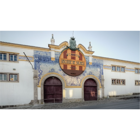 Sintra e Cascais - 10 horas