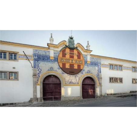 Sintra y Cascais - 12 horas
