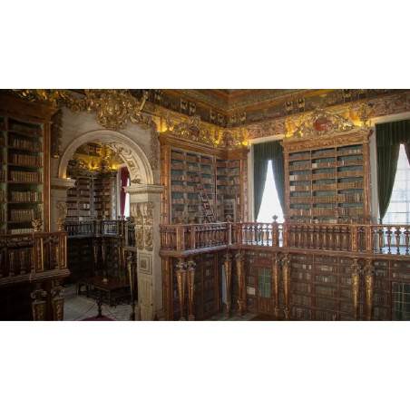 Coimbra and Aveiro - 8 hours