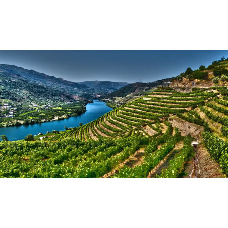 Porto and Douro Valley - 10 hours
