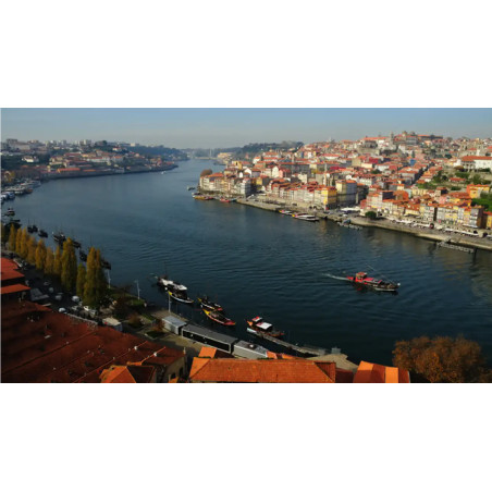 Porto and Douro Valley - 10 hours