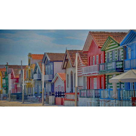 Coimbra and Aveiro - 12 hours
