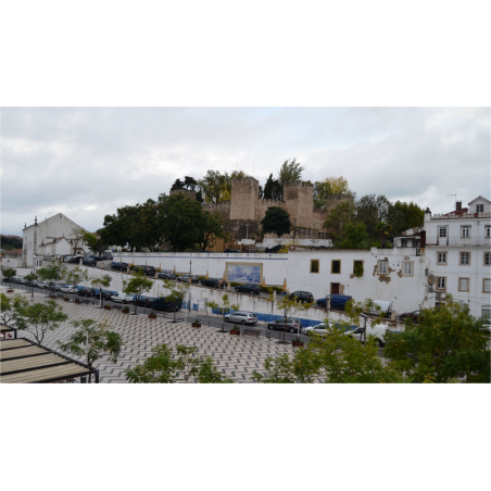 Rota dos Templários Portugueses - 8 horas